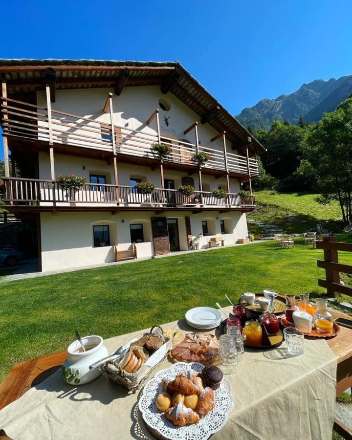 Foresch Hus Chambres D'Hotes Gressoney-Saint-Jean Exterior foto